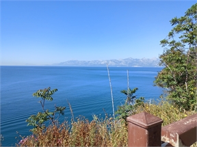 IMG_20240507_100943_972